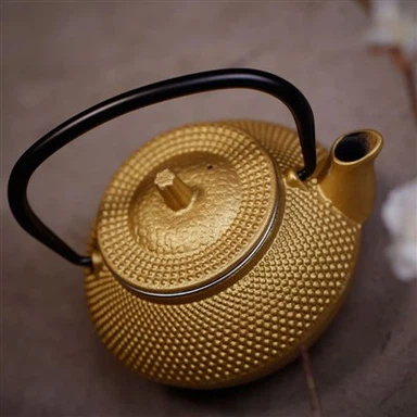 Veleprodaja crnog japanskog lijevanog željeza Tetsubin čajnik